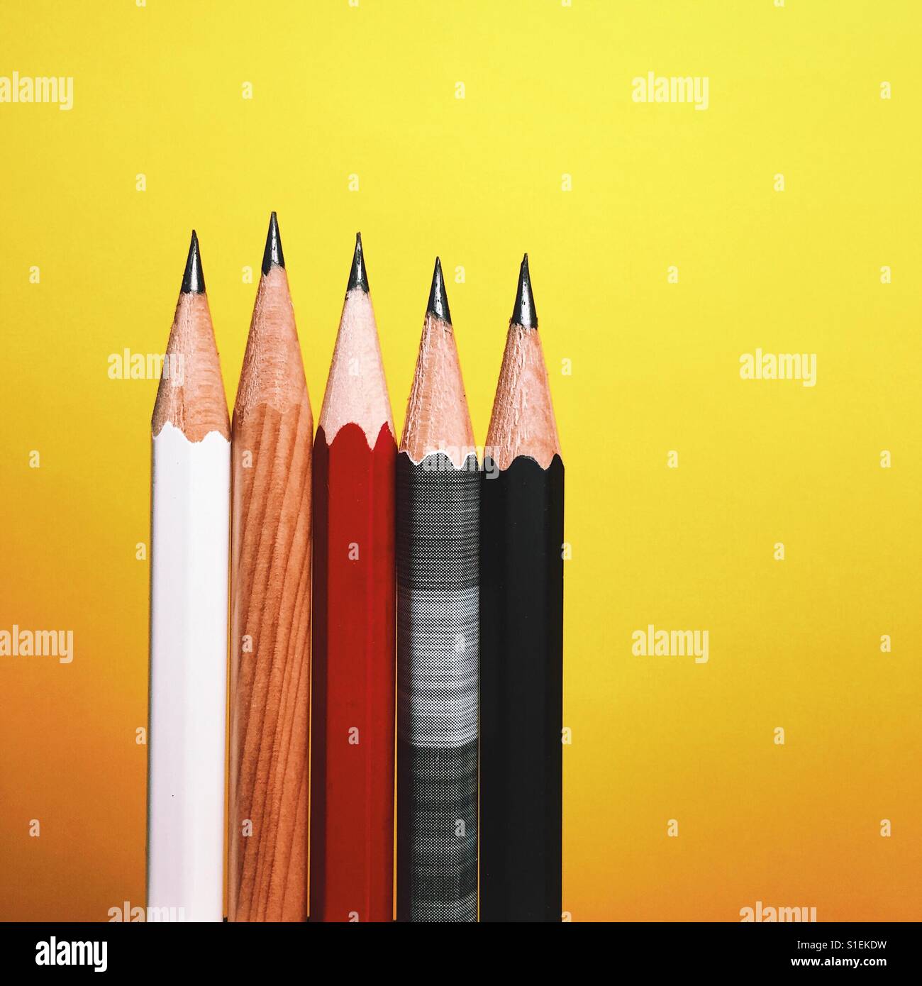 A close-up shot of five different and newly sharpened pencils against a bright yellow background. Stock Photo