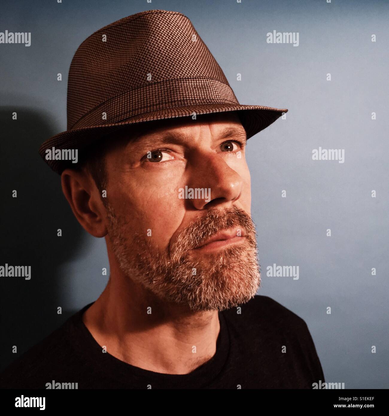 A close-up portrait of a 40 something male wearing a fedora and shot against a blue background. Stock Photo
