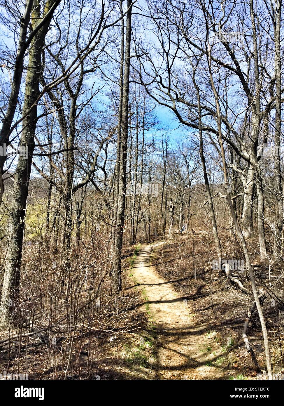 Follow the path. - Smartphone Captured Stock Image
