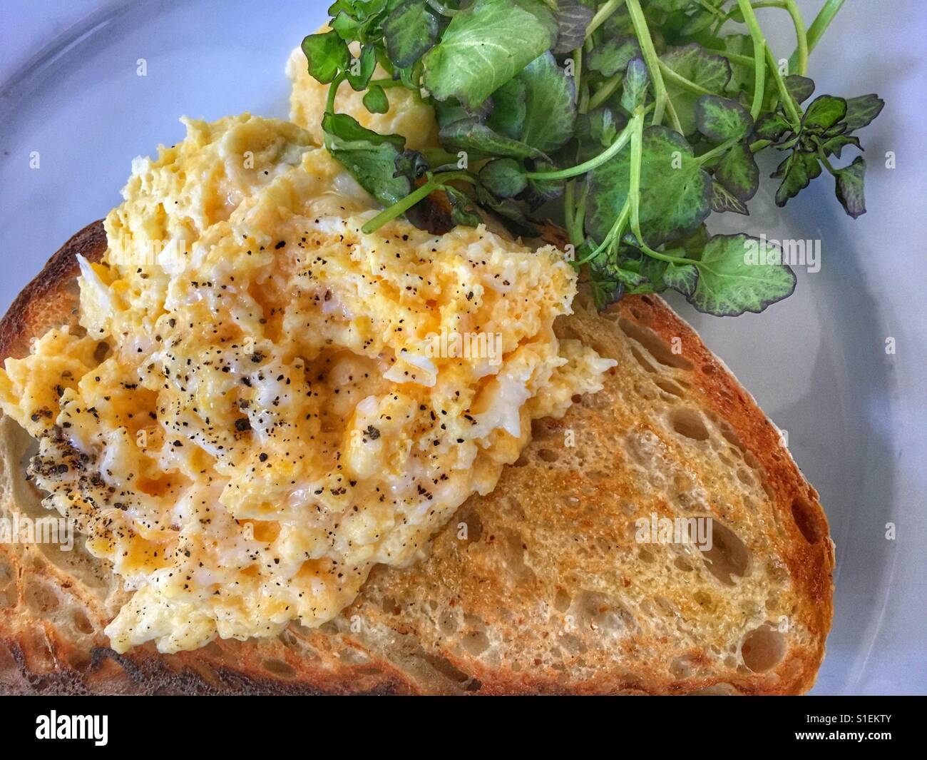 Scrambled eggs on toast - Smartphone Captured Stock Image