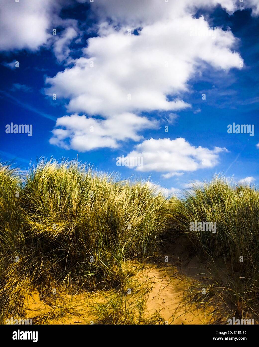 Sand dunes and blue sky with clouds - Smartphone Captured Stock Image
