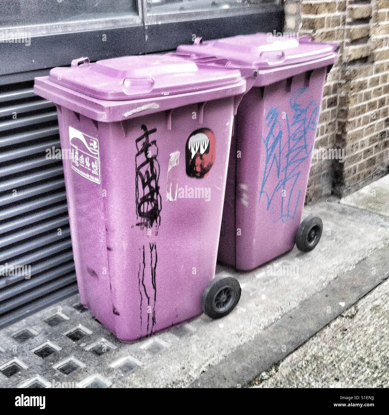 Purple wheelie bins Stock Photo Alamy