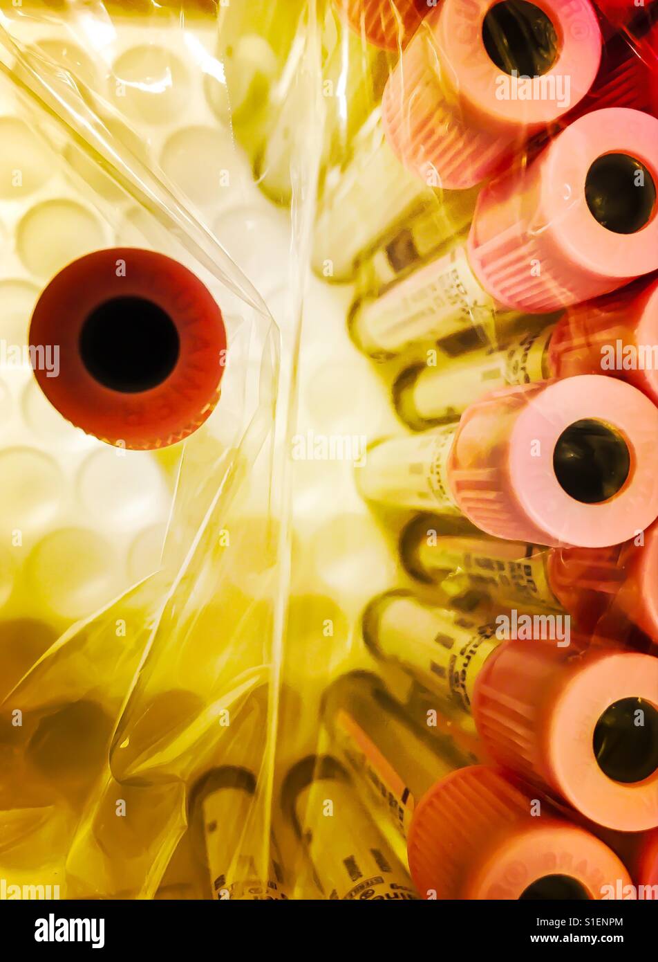 Test tubes vials Stock Photo
