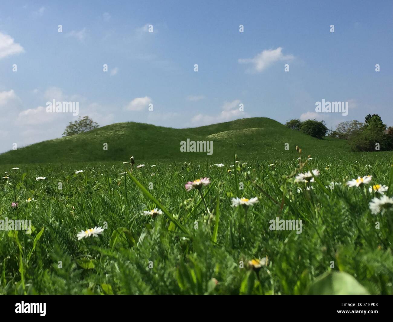 Green hill in spring Stock Photo