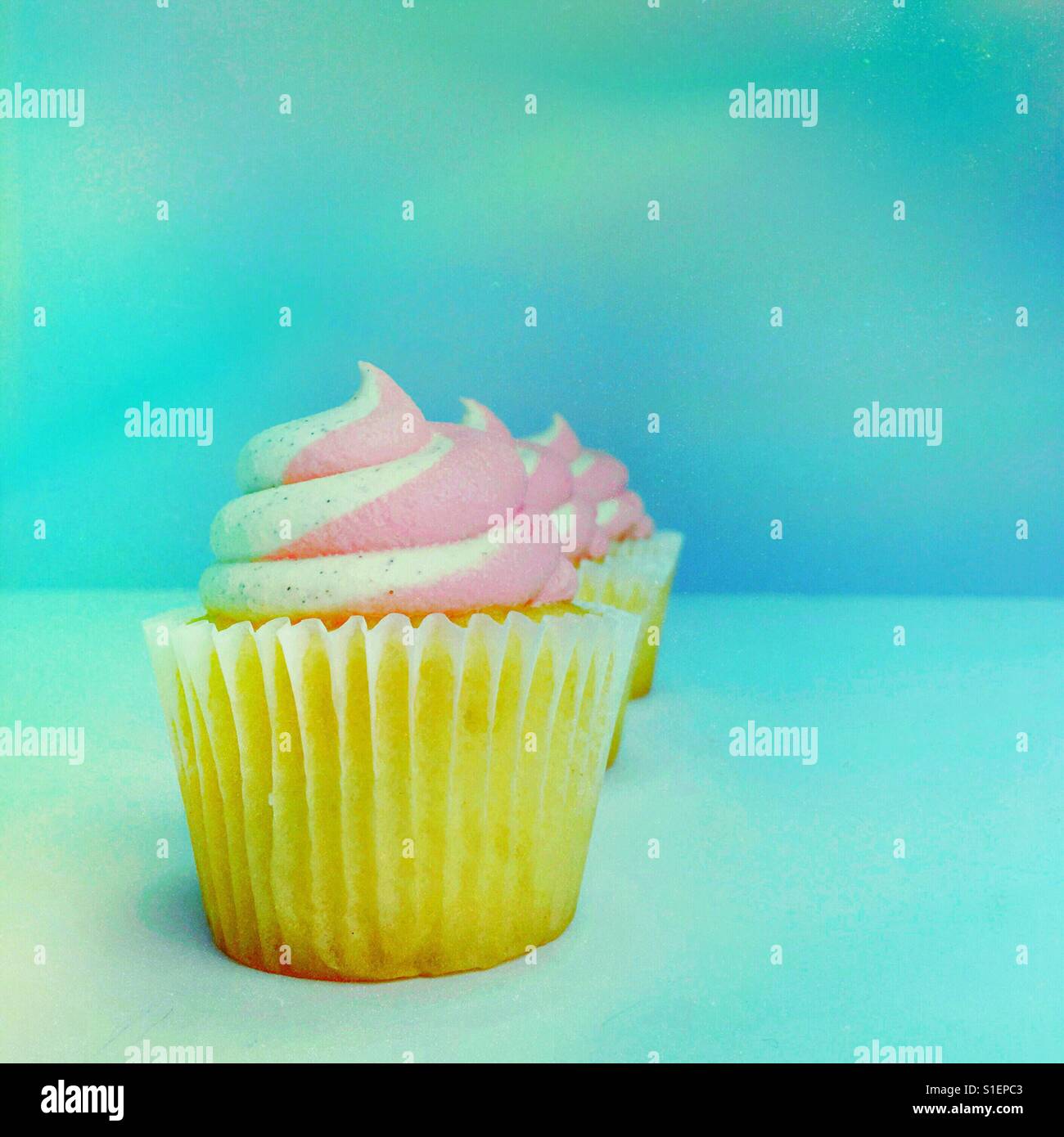 Strawberry and vanilla swirled frosted cupcakes. Square crop. Space for copy. - Smartphone Captured Stock Image