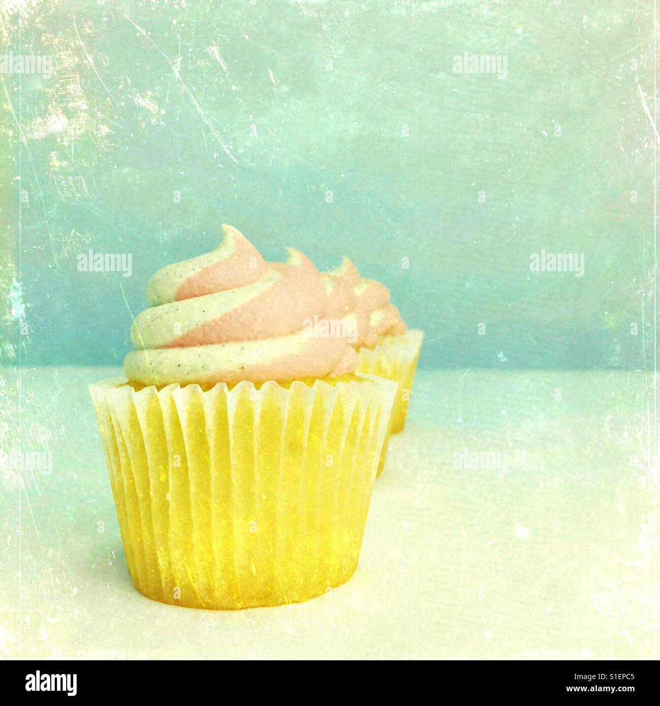 Cupcakes with swirled frosting. Square crop. Space for copy. Stock Photo
