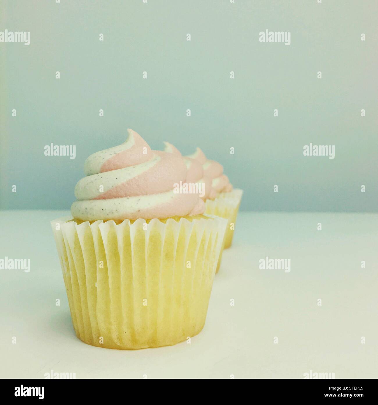 Vanilla cupcakes with vanilla and strawberry frosting. Square crop. Space for copy. Stock Photo