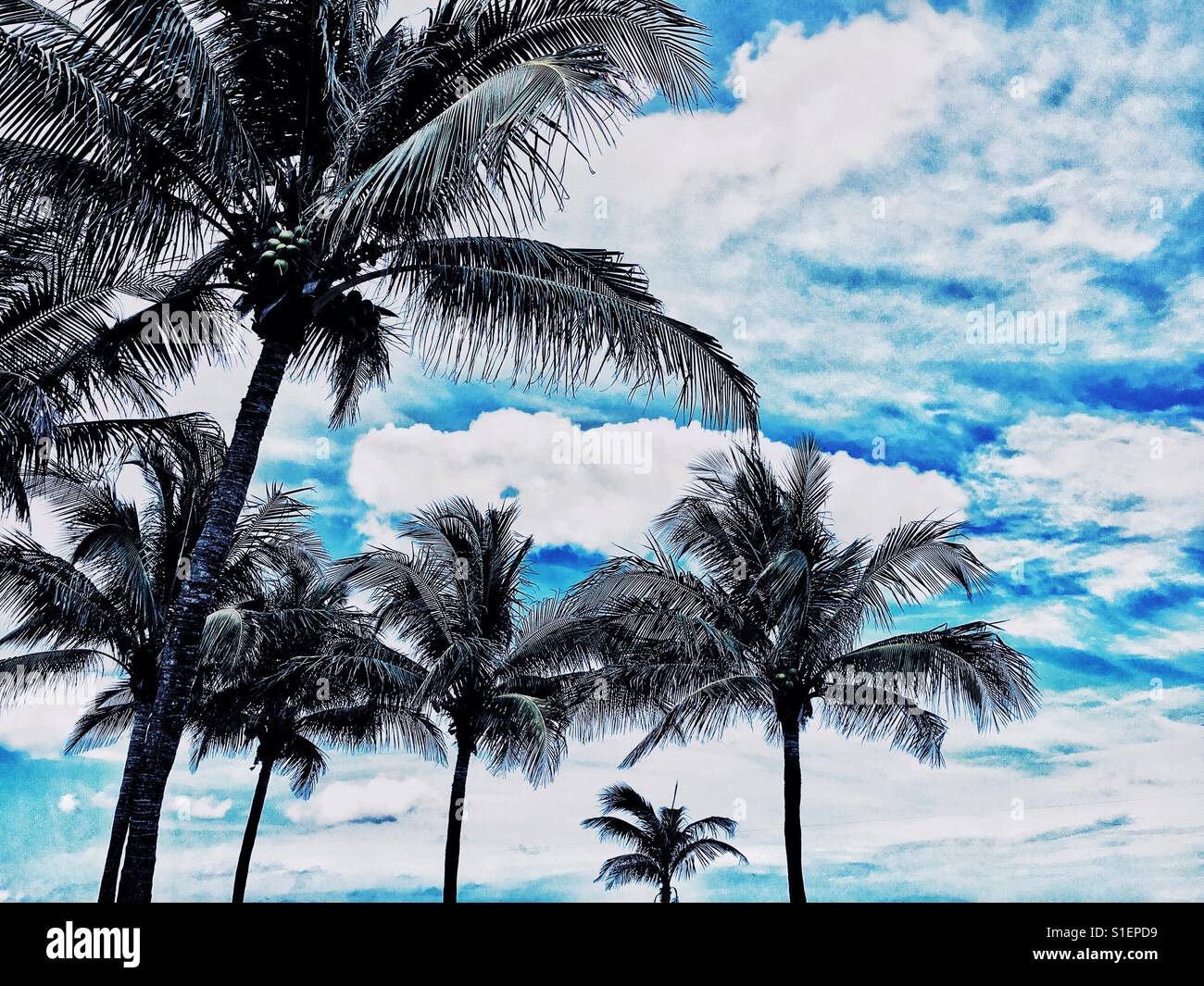 Seas tropics hi-res stock photography and images - Alamy