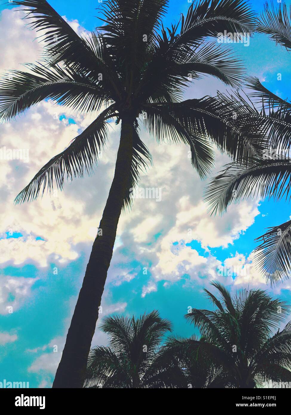 Seas tropics hi-res stock photography and images - Alamy