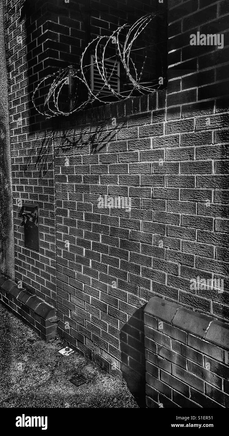 Barbed wire and brick wall - Smartphone Captured Stock Image