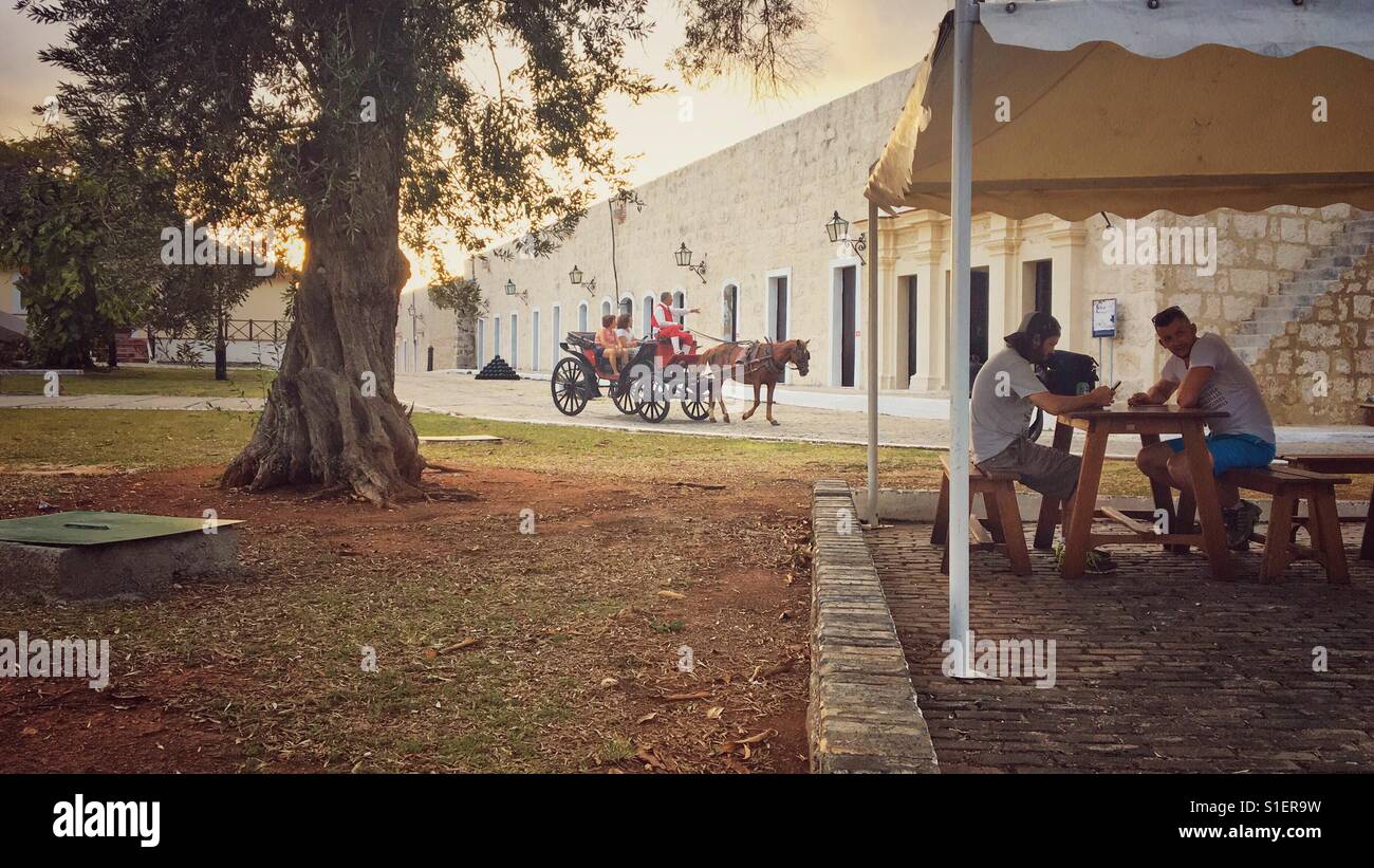 Horse and carriage in Havana, Cuba - Smartphone Captured Stock Image