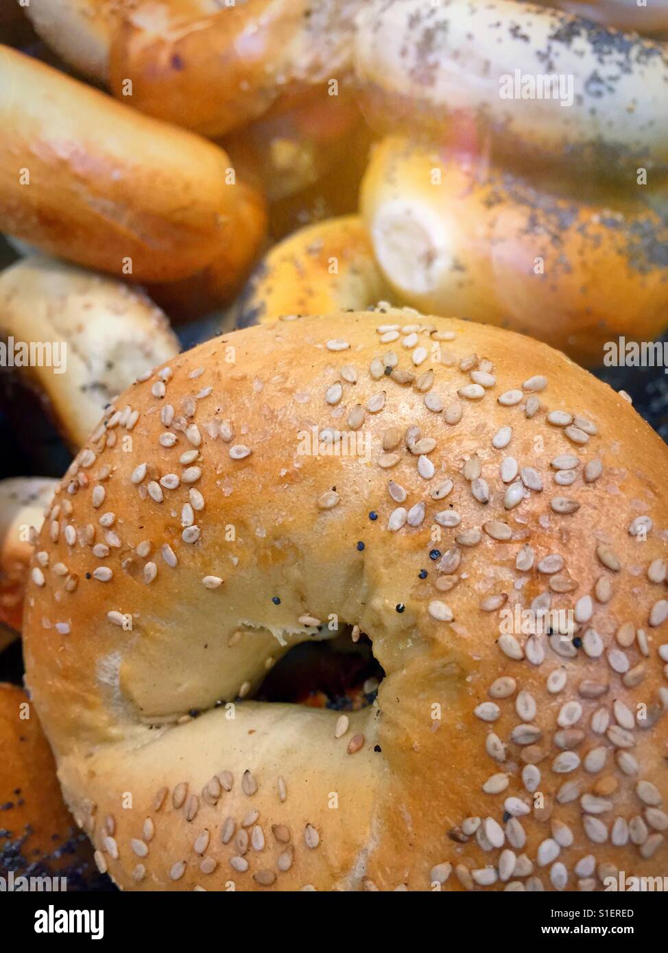 Sesame seed bagel in bakery window, NYC, USA Stock Photo Alamy