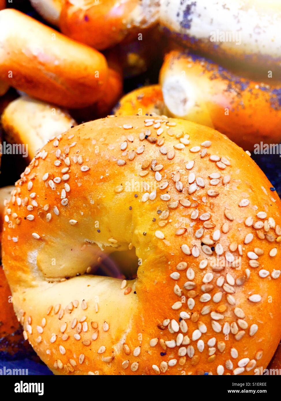 Sesame seed bagel in bakery shop window, NYC, USA Stock Photo Alamy