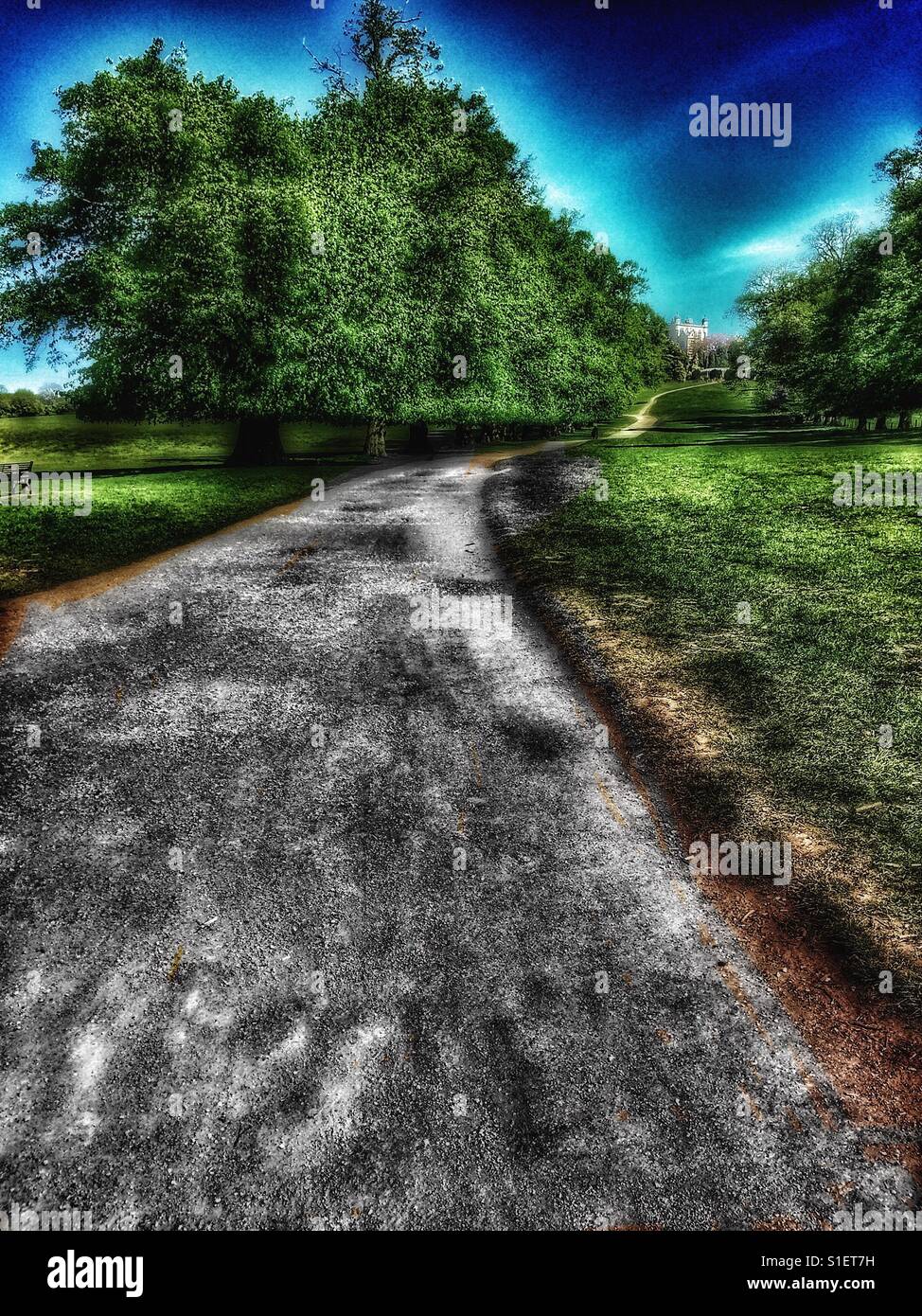 Tree lined footpath through Wollaton Park, Nottingham, Nottinghamshire, East Midlands, England - Smartphone Captured Stock Image