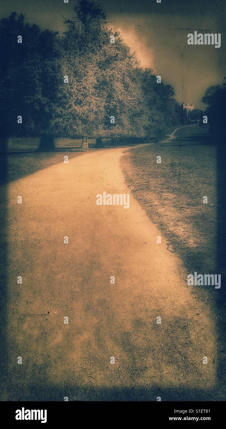 Tree lined path through Wollaton Park, Nottingham, Nottinghamshire, East Midlands, England - Smartphone Captured Stock Image