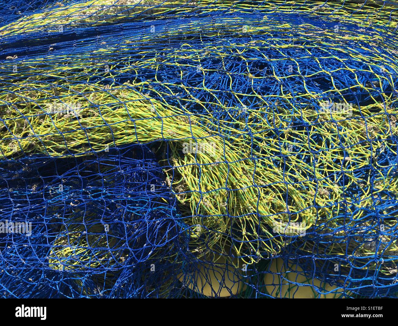 Blue and yellow fishing net - Smartphone Captured Stock Image