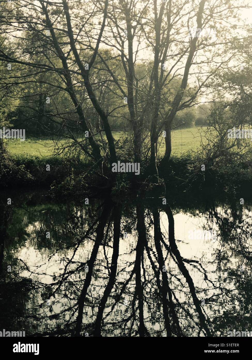 Peaceful reflection and tranquility by the river bank In the countryside. Rural Simplicity. Stock Photo