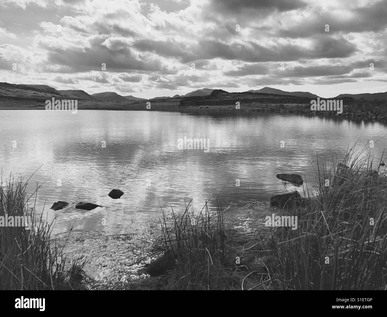 Peaceful tarn in Cumbria Stock Photo