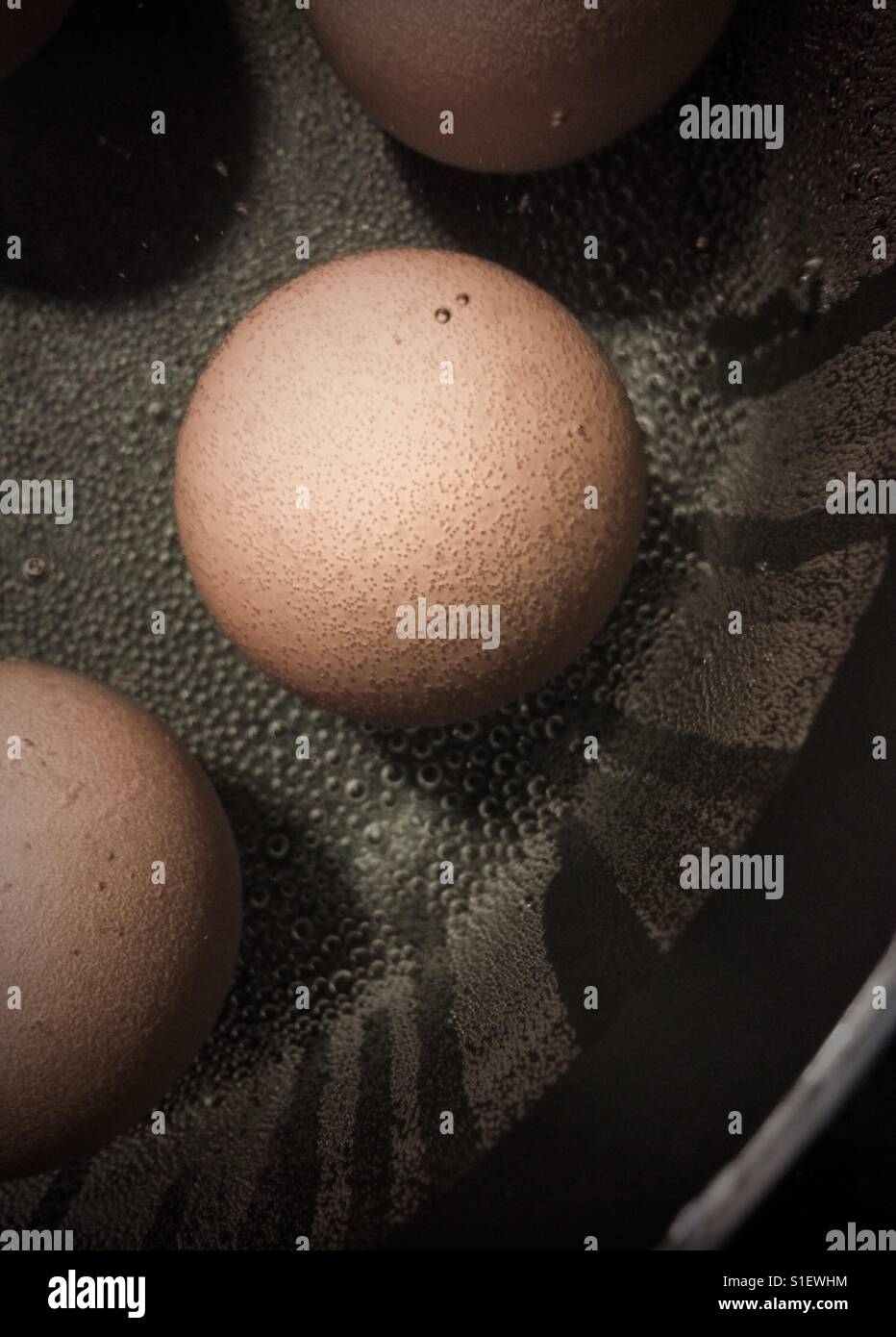 Hard Boiled Eggs Cooking - Smartphone Captured Stock Image