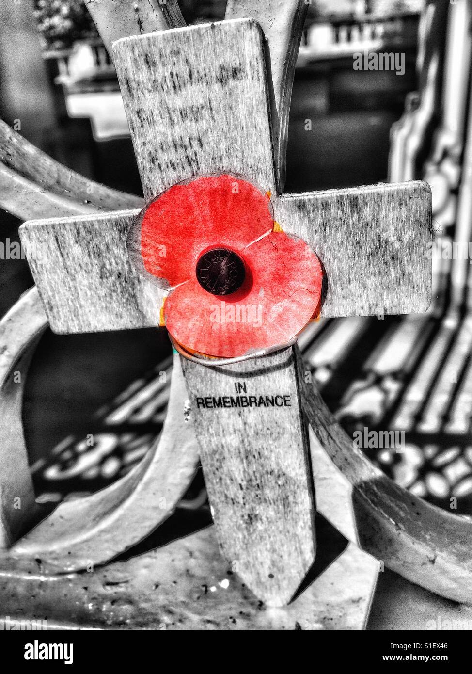 Small Remembrance Day cross and red poppy - Smartphone Captured Stock Image
