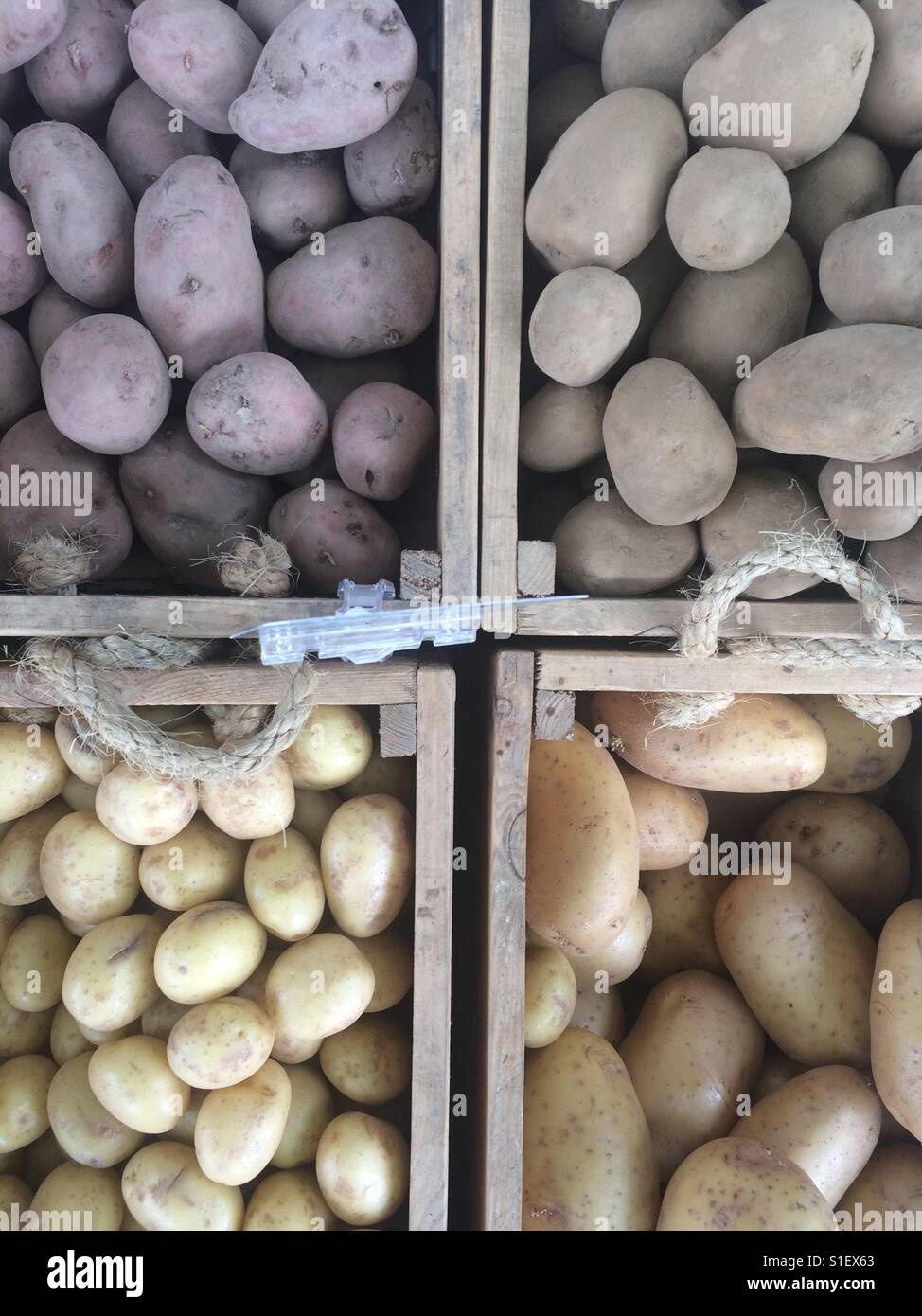 Organic Potatoes on display in shop victoria park london E9 Stock Photo