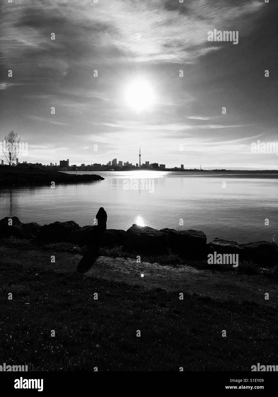 Toronto - Smartphone Captured Stock Image