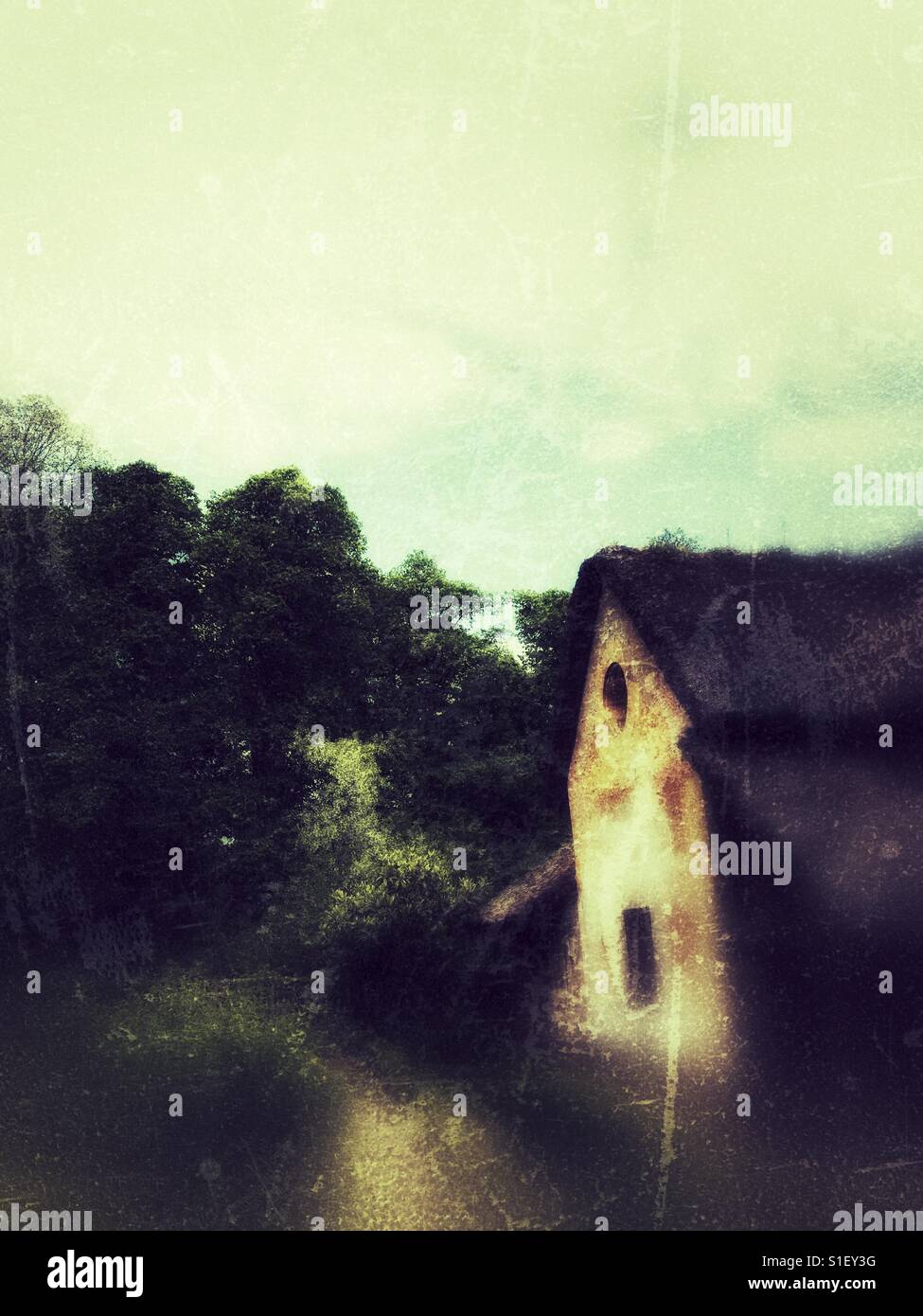 Old house facing the forest trees - Smartphone Captured Stock Image