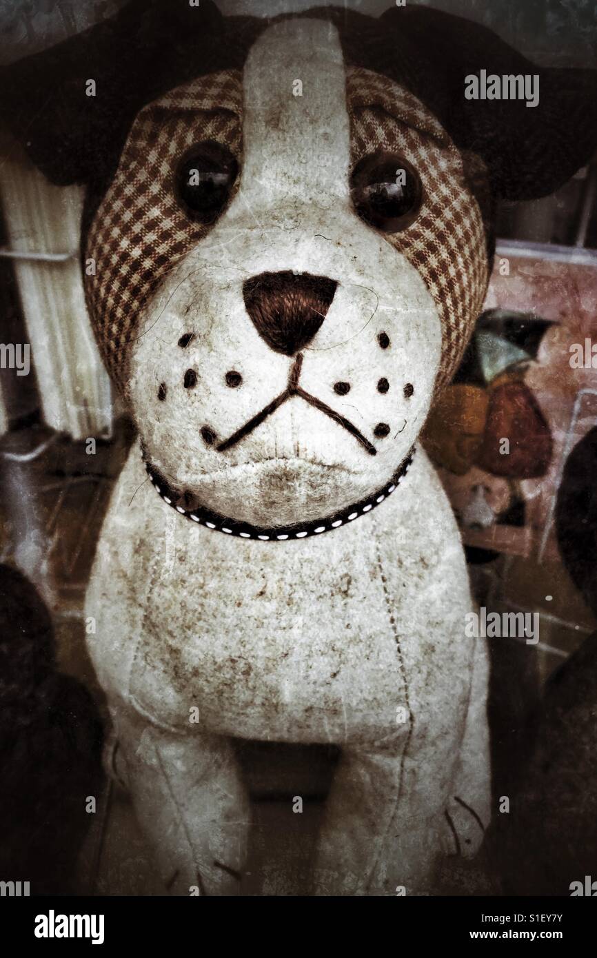 Vintage beige and brown stuffed dog. - Smartphone Captured Stock Image