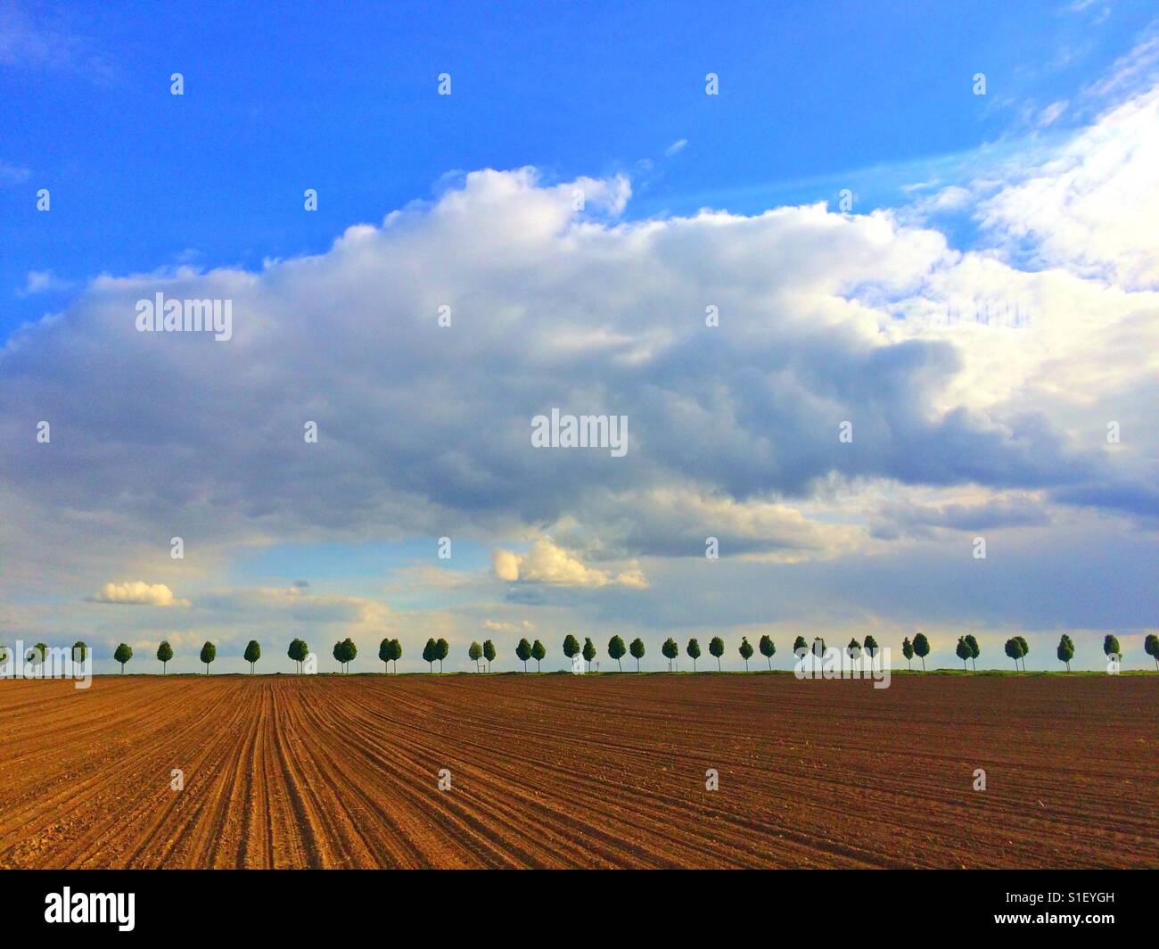 Evening minimalism - Smartphone Captured Stock Image