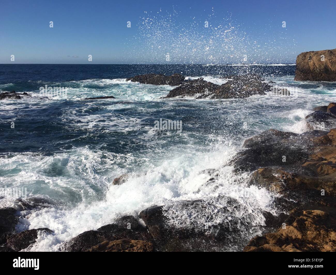 Point lobos state reserve Stock Photo