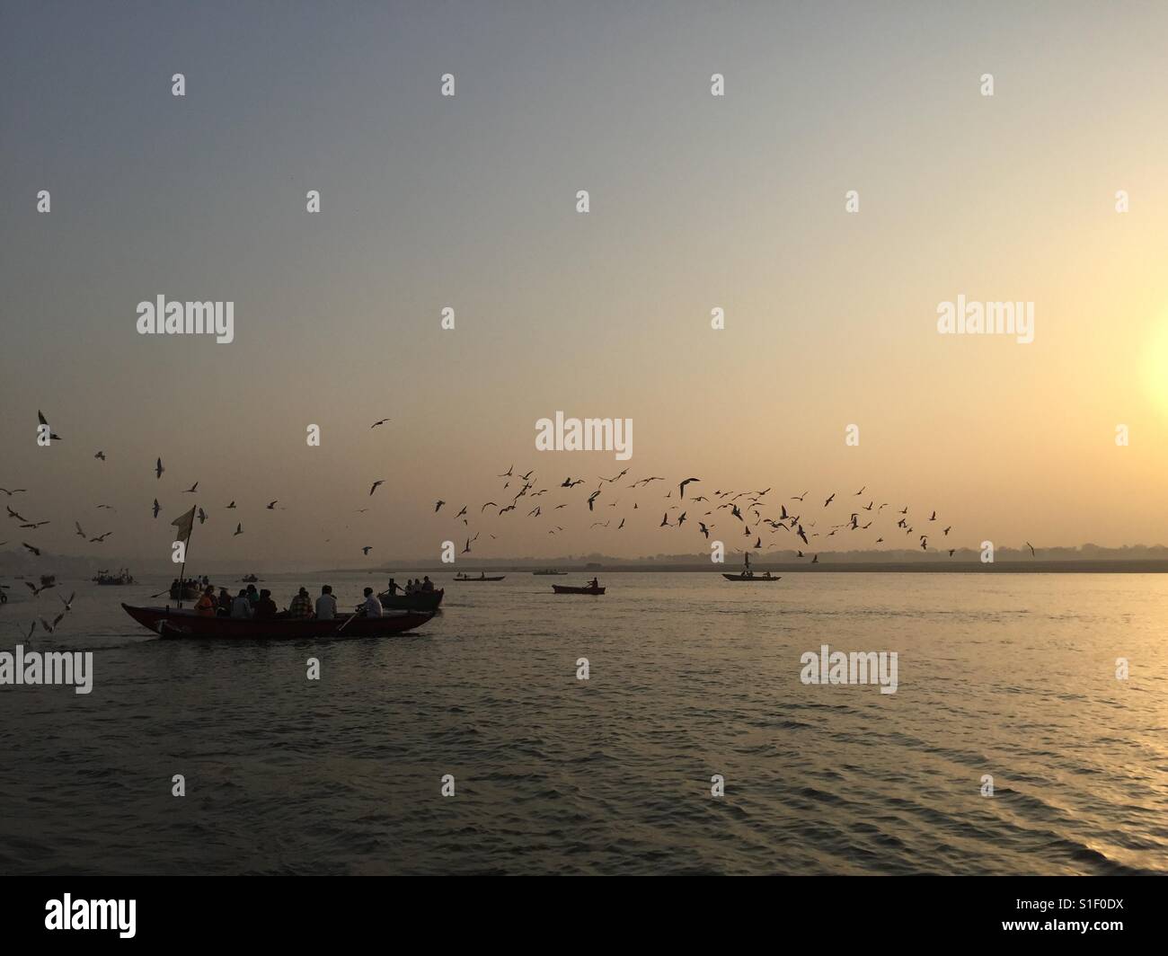 A murmuration of birds fly above the River Ganges, Varanasi in India - Smartphone Captured Stock Image