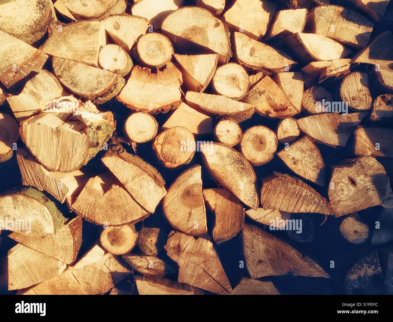 Firewood stacked in woodshed - Smartphone Captured Stock Image