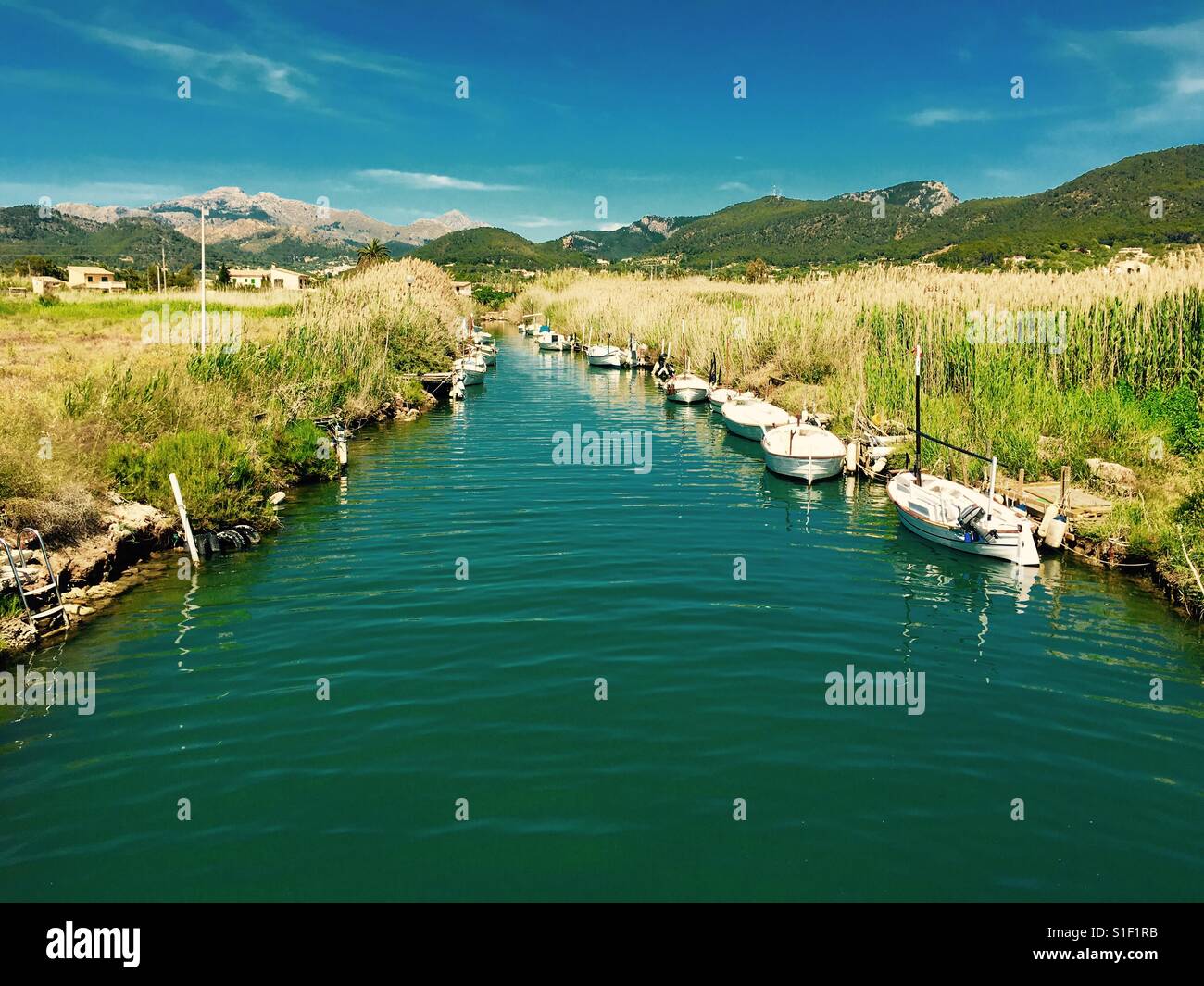 Boats on a small river with tall grass around and mountains in the background Stock Photo