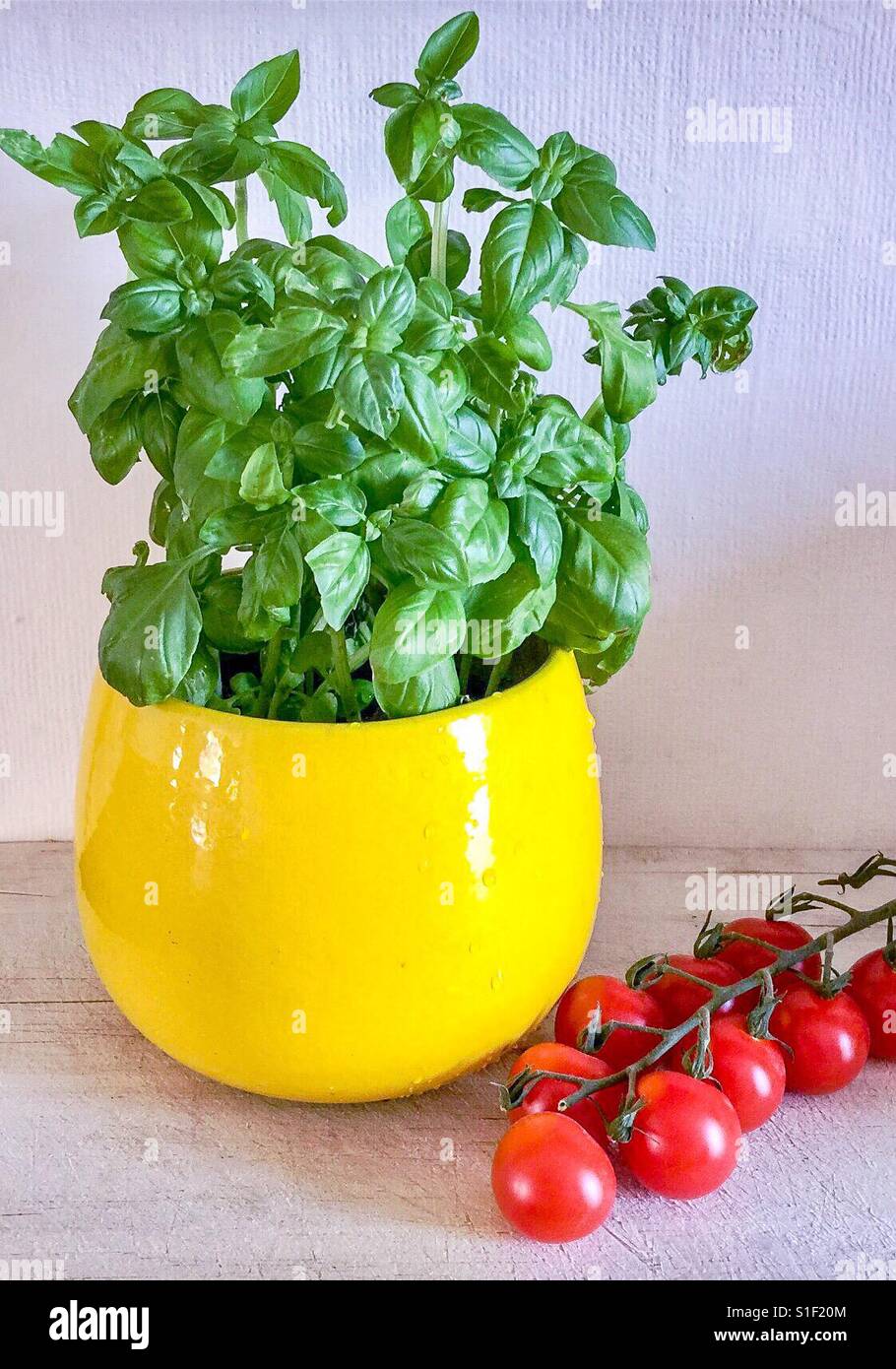 A perfect combination - tomatoes and basil Stock Photo - Alamy