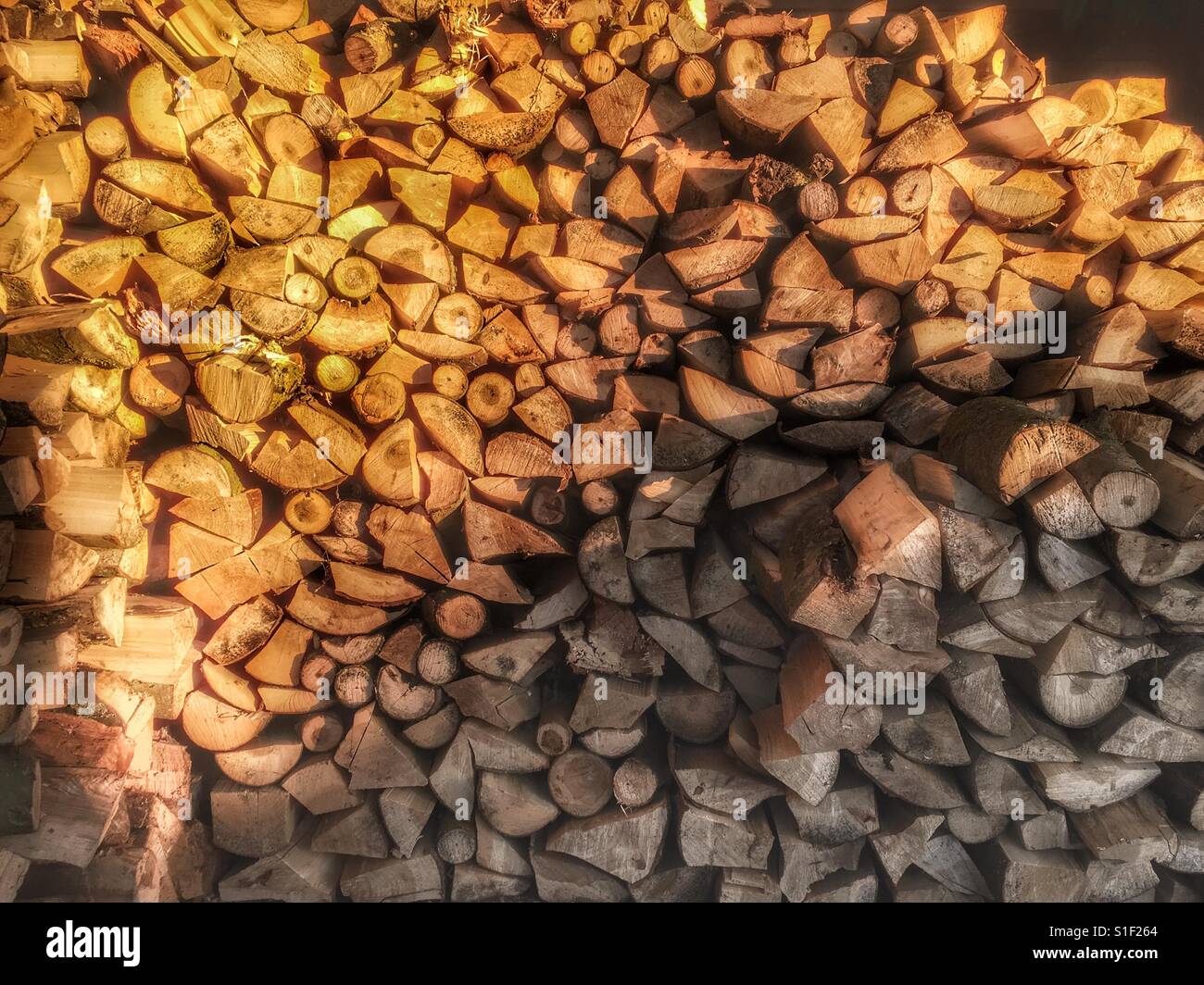 Woodpile - Smartphone Captured Stock Image