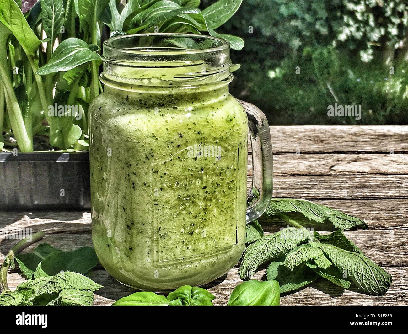 Smoothie, a drink for the health conscious made with no additives : cucumber, apple, pineapple, fresh mint, spinach and lettuce - Smartphone Captured Stock Image