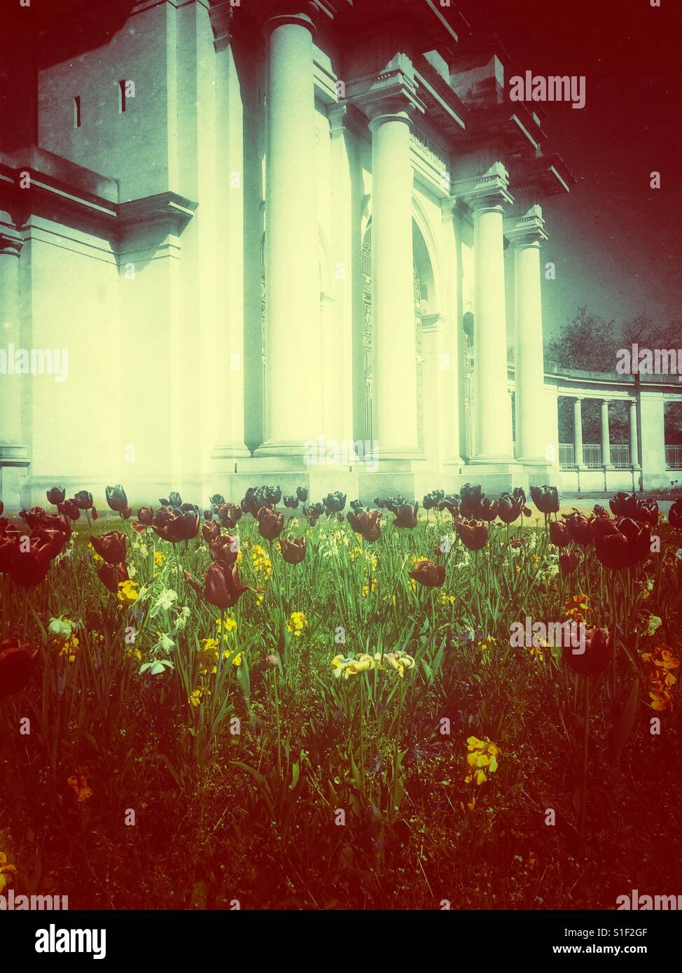 City war memorial by T Wallis Gordon (1927) and tulips, Victoria Embankment, Nottingham, Nottinghamshire, East Midlands, England - Smartphone Captured Stock Image