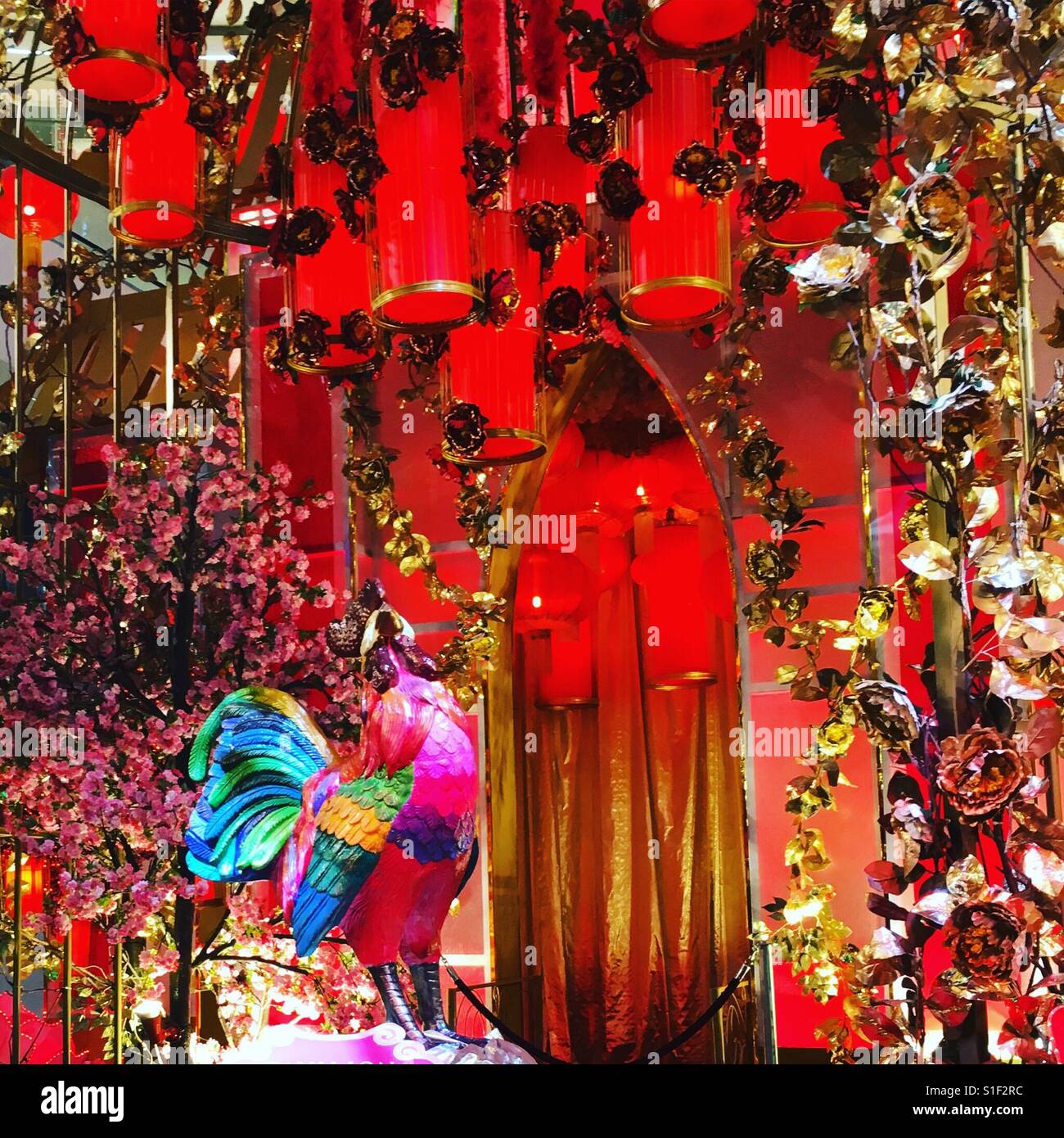 The Year Of The Rooster Celebrating Chinese New Year Stock Photo Alamy the-year-of-the-rooster-celebrating-chinese-new-year-stock-photo-alamy