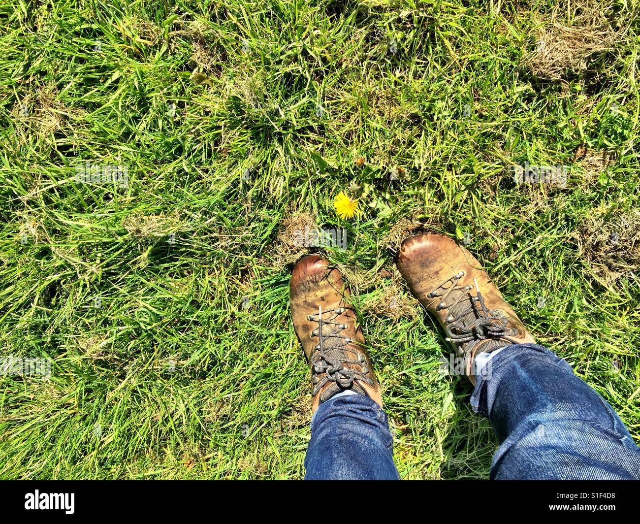 These feet were made for walking Stock Photo Alamy