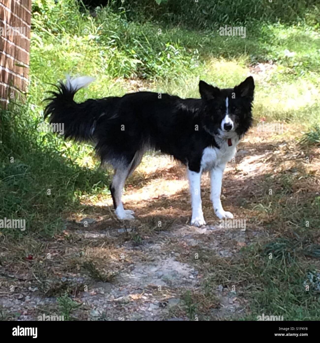 Take my picture Stock Photo Alamy