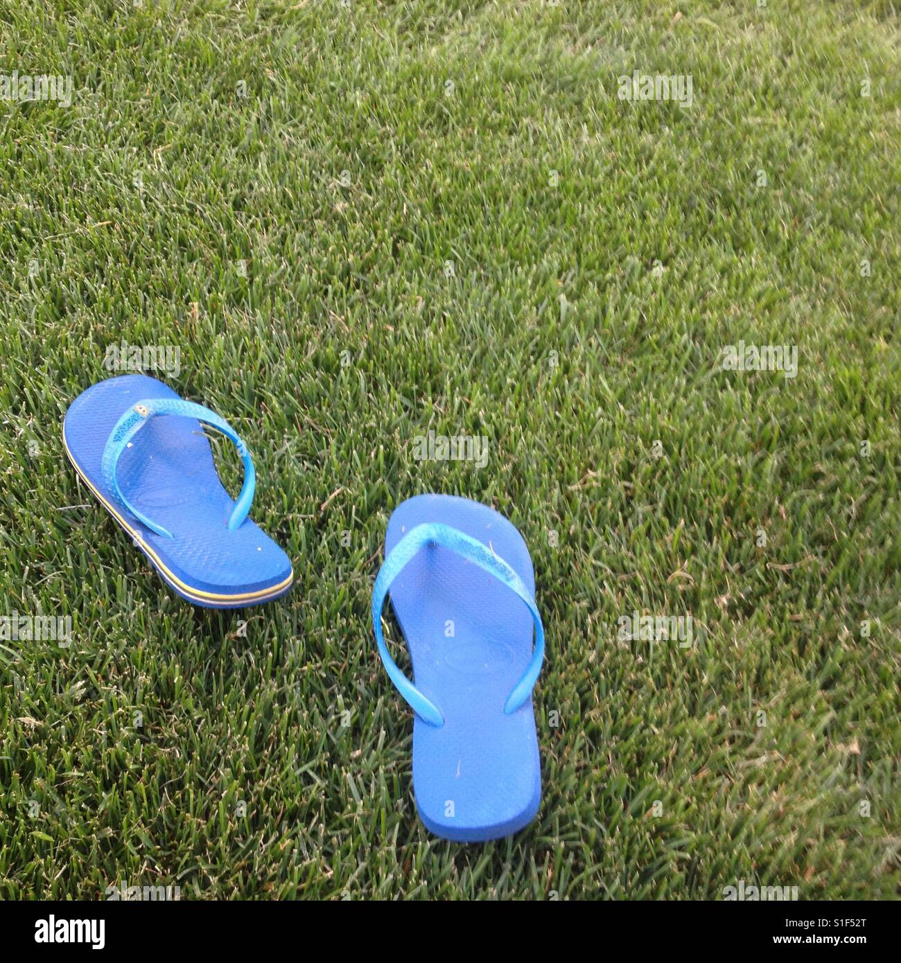 Havaianas bue flip flops on green grass, Summer day, vacation, time off, relaxing, taking a break, winding down, nobody around, peaceful. Stock Photo