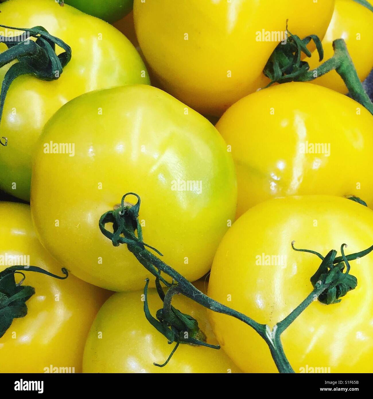 Yellow tomatoes by K.R. Stock Photo