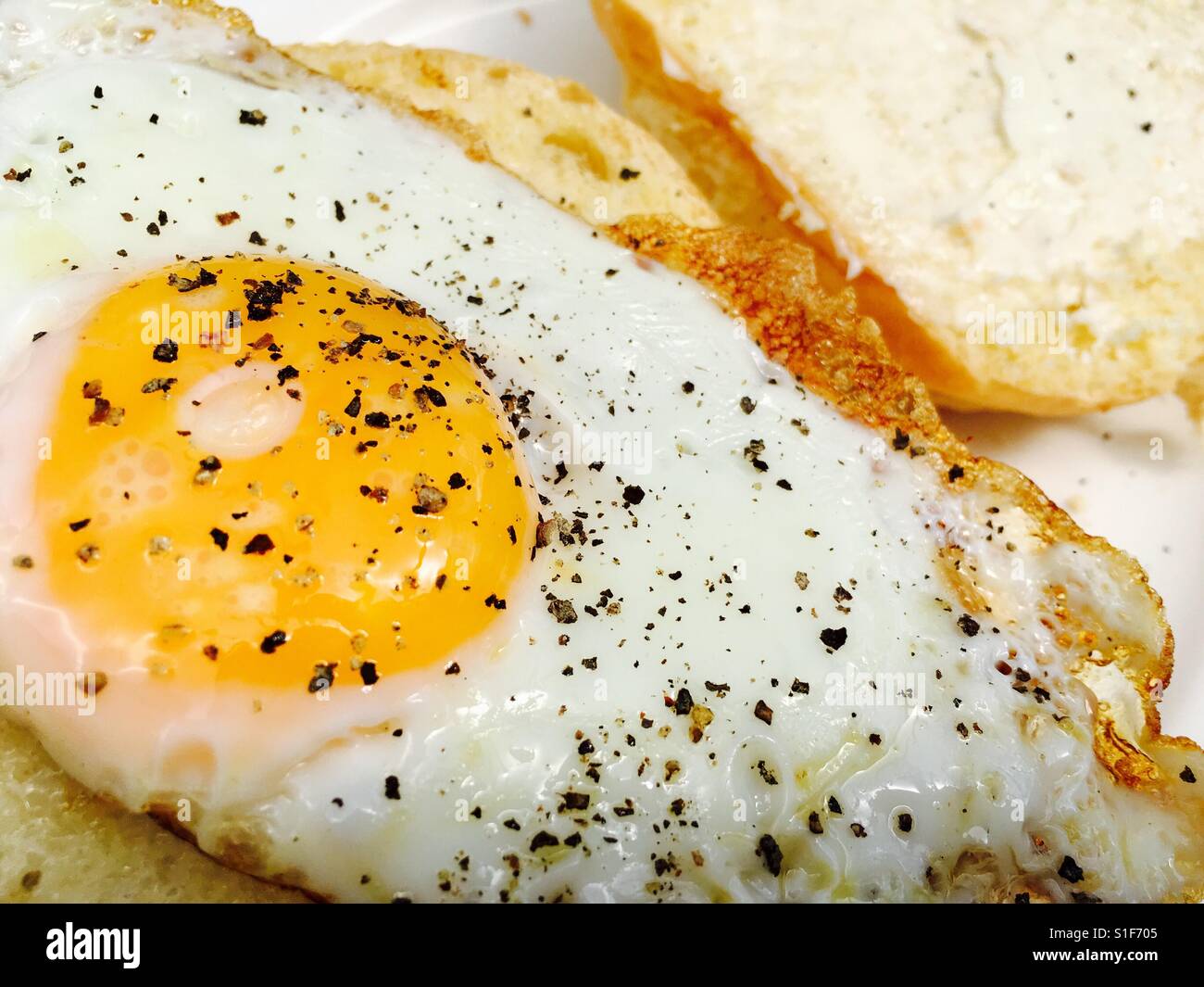 Fried egg in Brioche bun Stock Photo Alamy