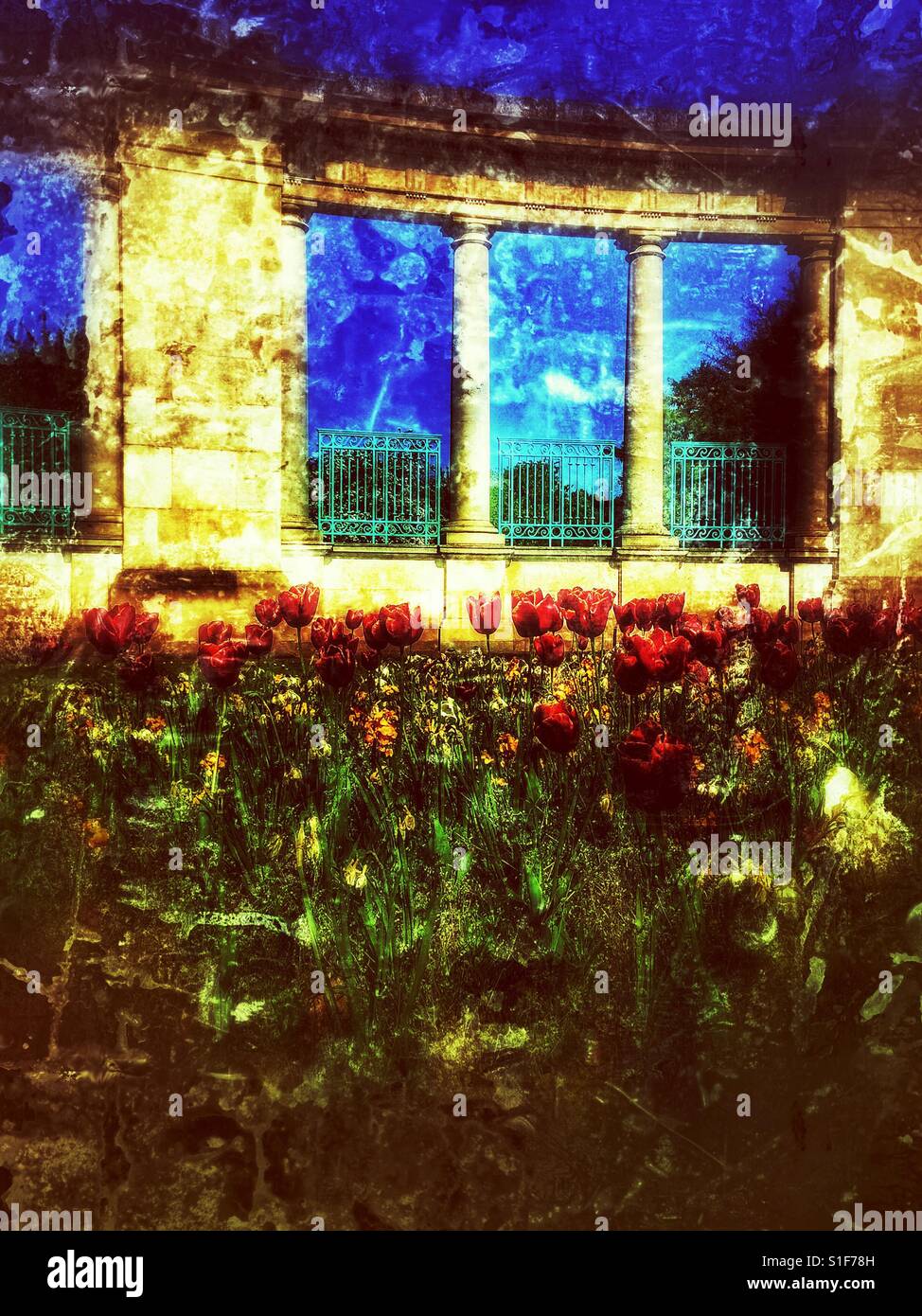 City war memorial by T Wallis Gordon (1927) and tulips, Victoria Embankment, Nottingham, Nottinghamshire, East Midlands, England - Smartphone Captured Stock Image