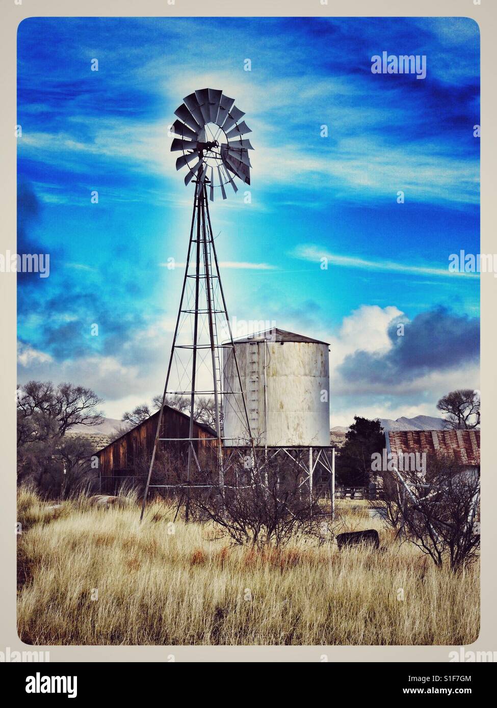 Windmill on abandoned cattle ranch in Arizona Stock Photo Alamy