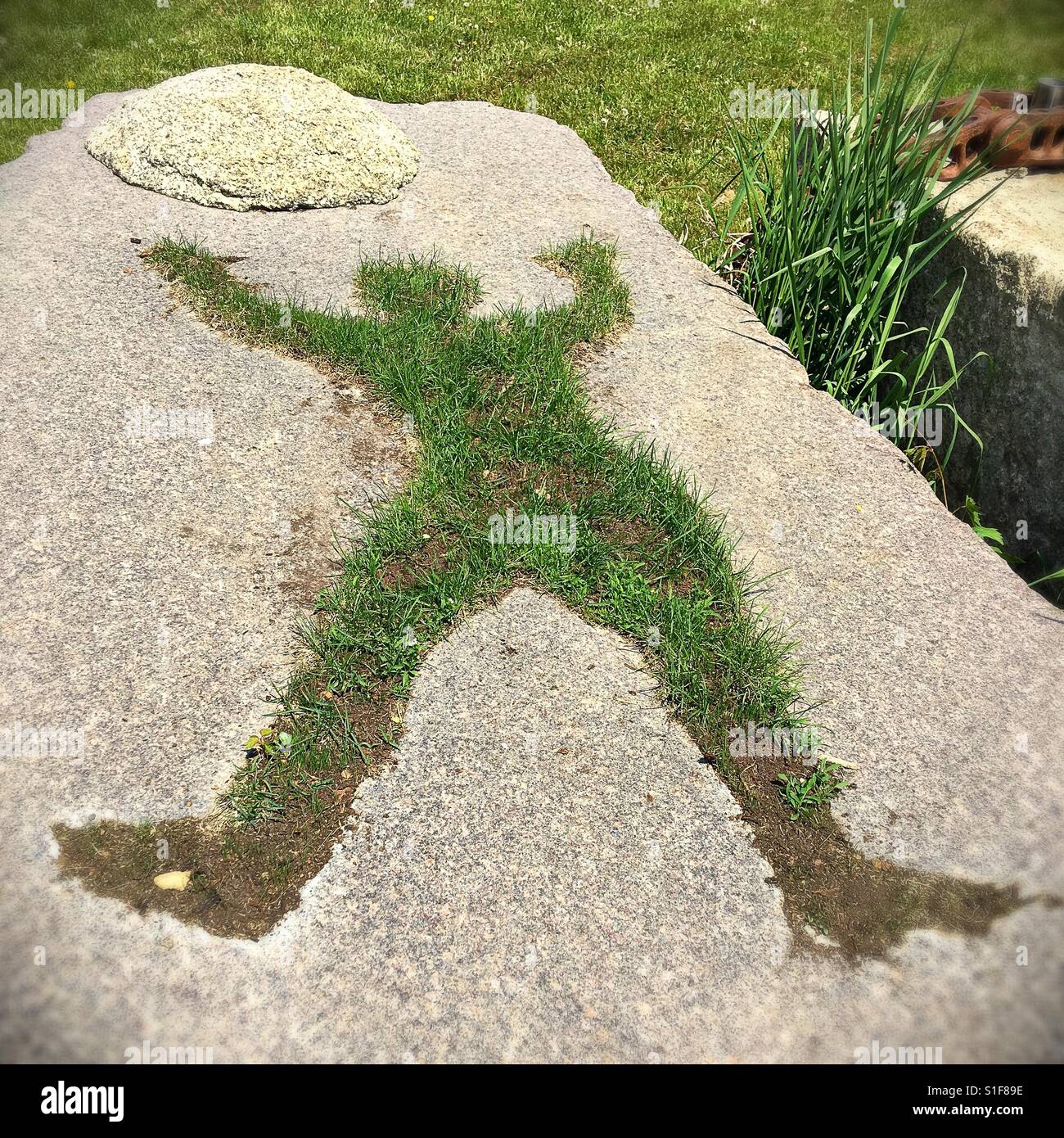A grass and concrete sculpture at Big Stone Mini Golf and Sculpture