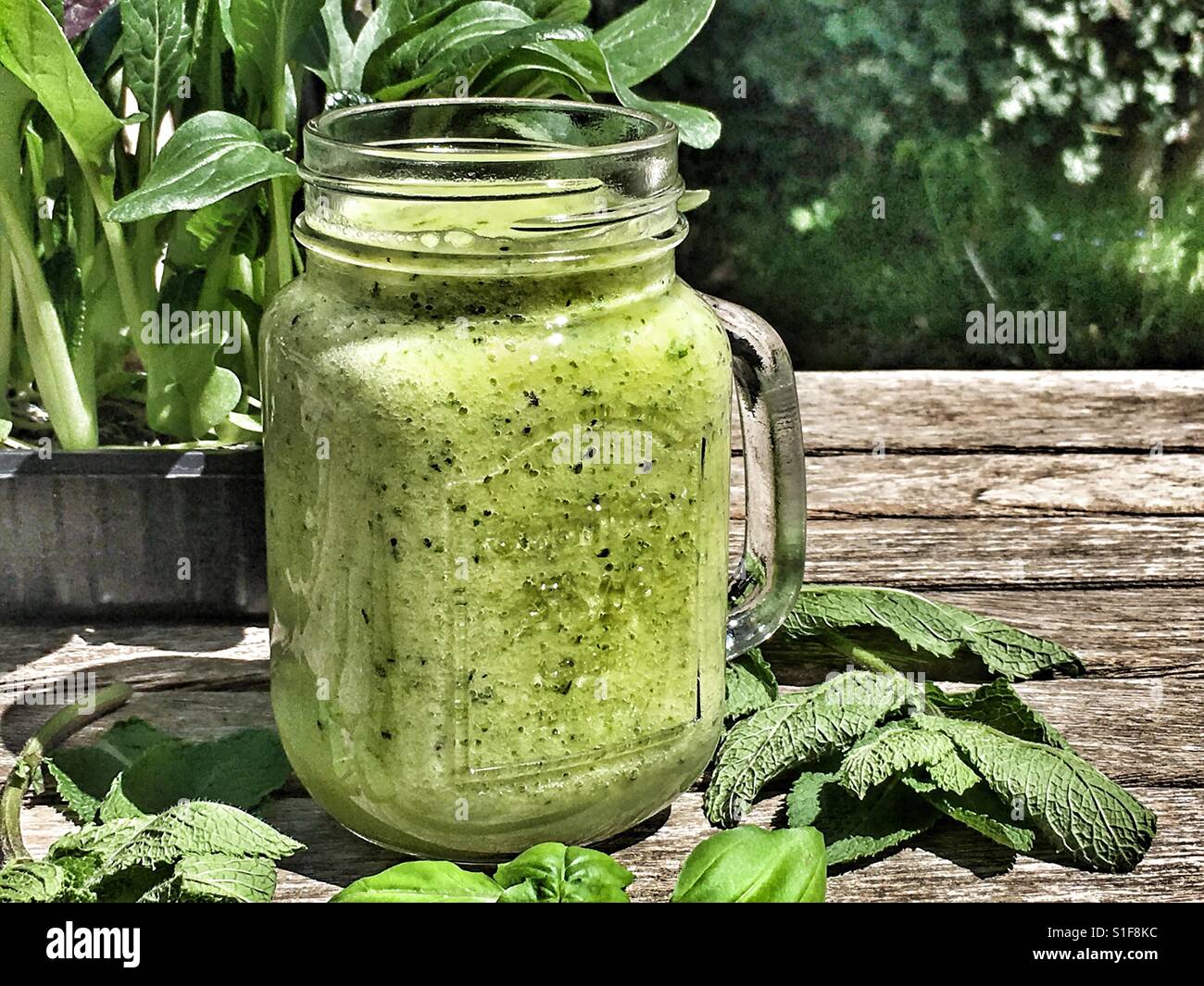 Green vegetable smoothie in a glass mug - Smartphone Captured Stock Image