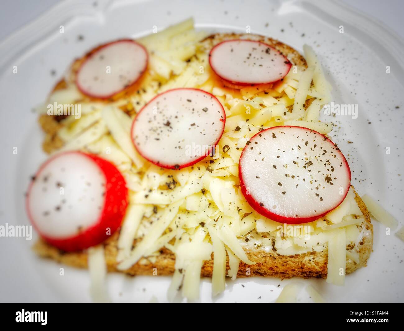 Grated cheddar cheese and sliced radish sandwich - Smartphone Captured Stock Image