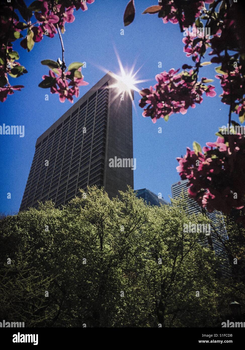 Early Spring morning in the big city - Smartphone Captured Stock Image