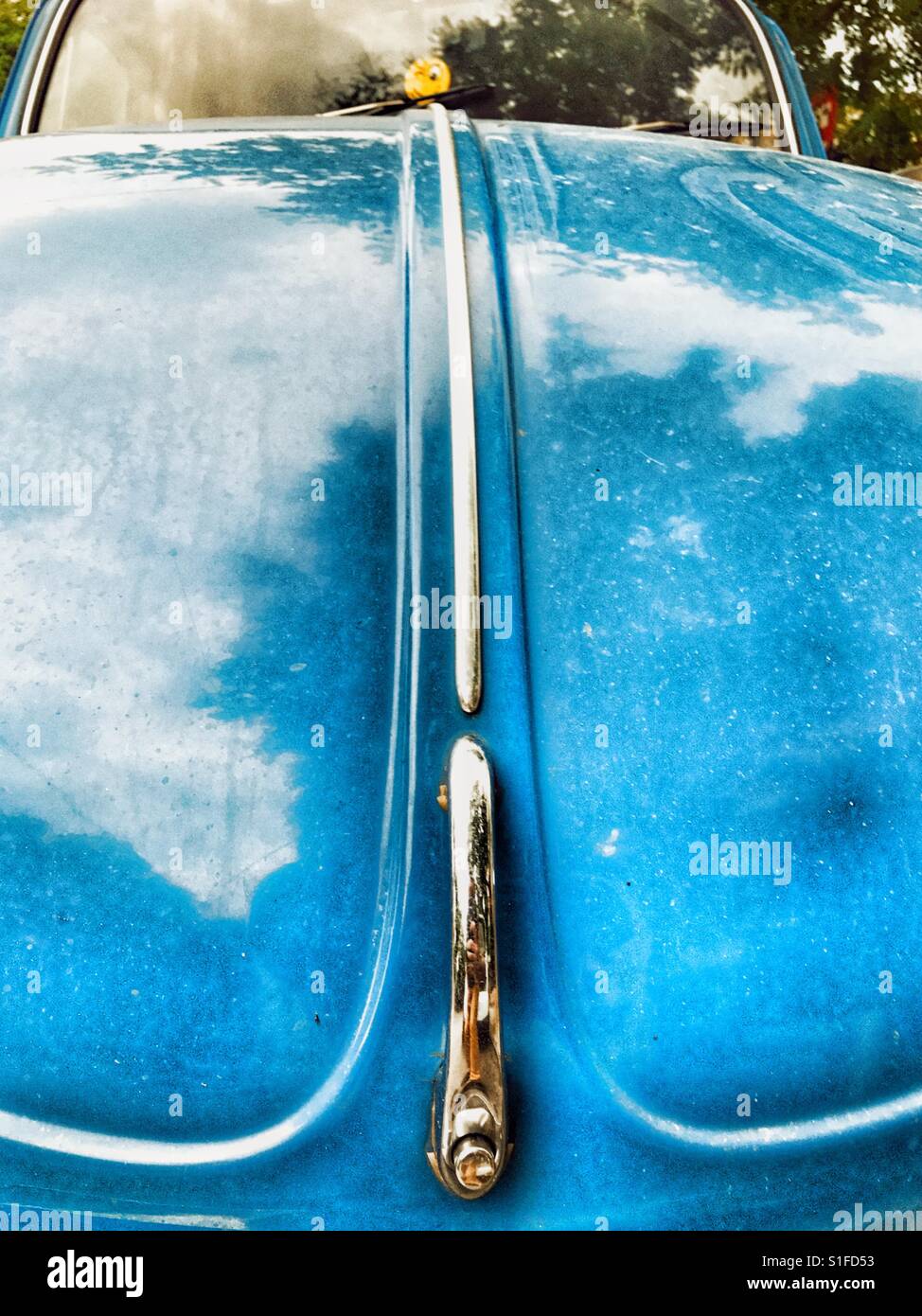 Blue Volkswagen Beetle hood Stock Photo Alamy